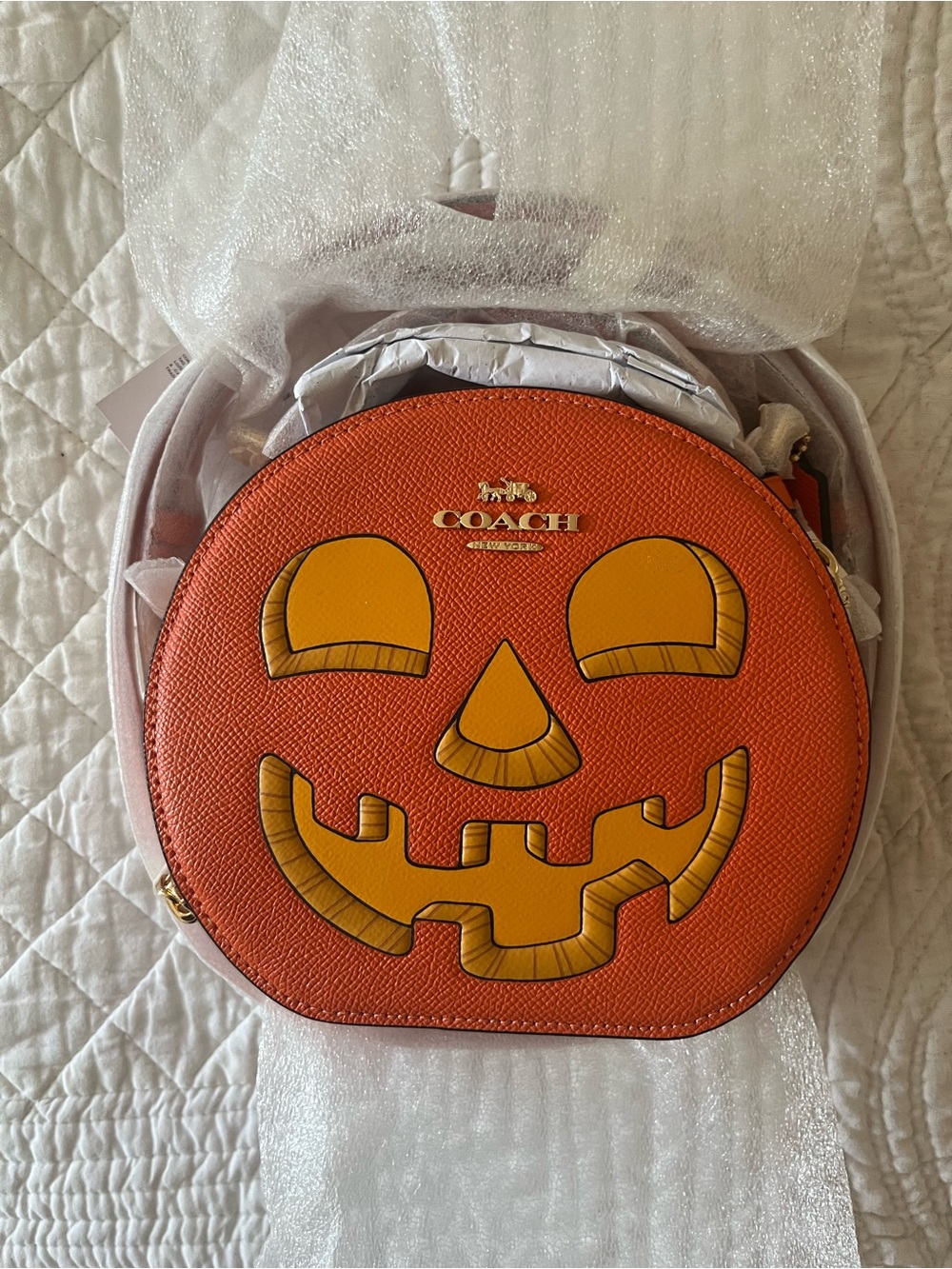 Coach Pumpkin Canteen Crossbody Bag